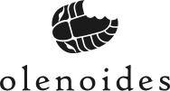 olenoides